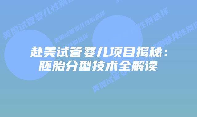 赴美试管婴儿项目揭秘:胚胎分型技术全解读插图 赴美试管婴儿项目揭秘:胚胎分型技术全解读