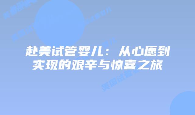 赴美试管婴儿：从心愿到实现的艰辛与惊喜之旅