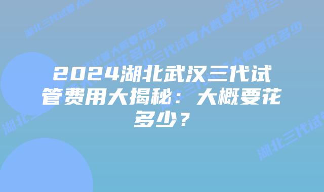 2024湖北武汉三代试管费用大揭秘：大概要花多少？