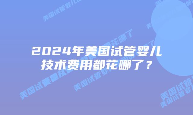 2024年美国试管婴儿技术费用都花哪了？
