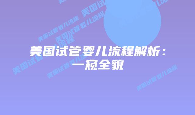 美国试管婴儿流程解析：一窥全貌