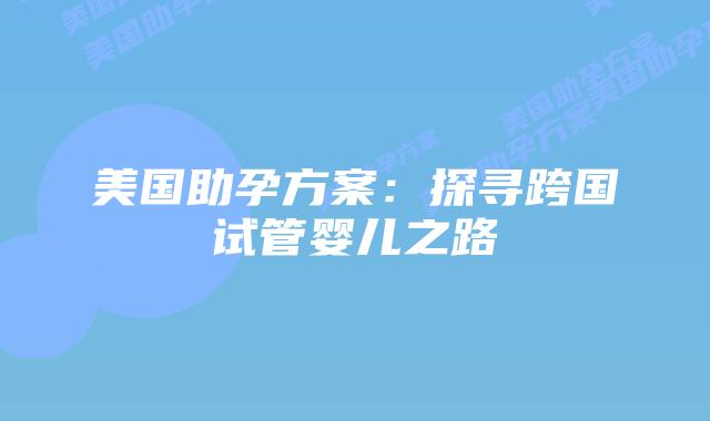 美国助孕方案:探寻跨国试管婴儿之路插图 美国助孕方案:探寻跨国试管婴儿之路