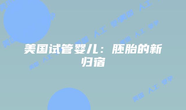 美国试管婴儿：胚胎的新归宿