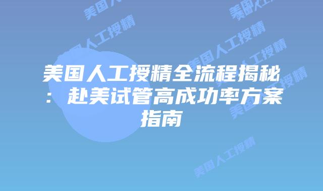 美国人工授精全流程揭秘:赴美试管高成功率方案指南插图 美国人工授精全流程揭秘:赴美试管高成功率方案指南