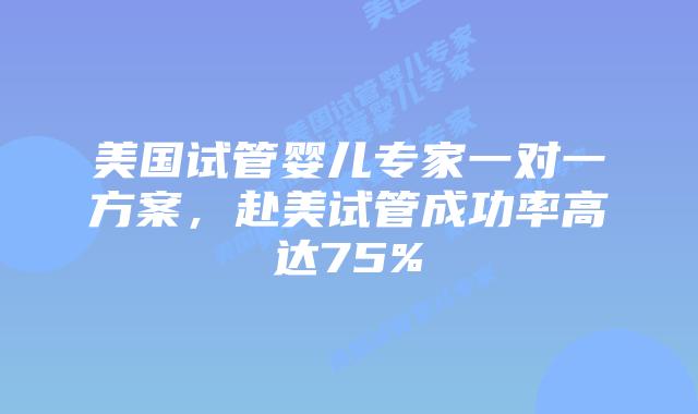 美国试管婴儿专家一对一方案,赴美试管成功率高达75%插图 美国试管婴儿专家一对一方案,赴美试管成功率高达75%
