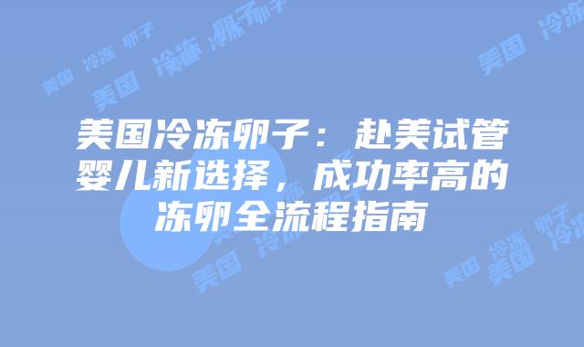 美国冷冻卵子:赴美试管婴儿新选择,成功率高的冻卵全流程指南插图 美国冷冻卵子:赴美试管婴儿新选择,成功率高的冻卵全流程指南