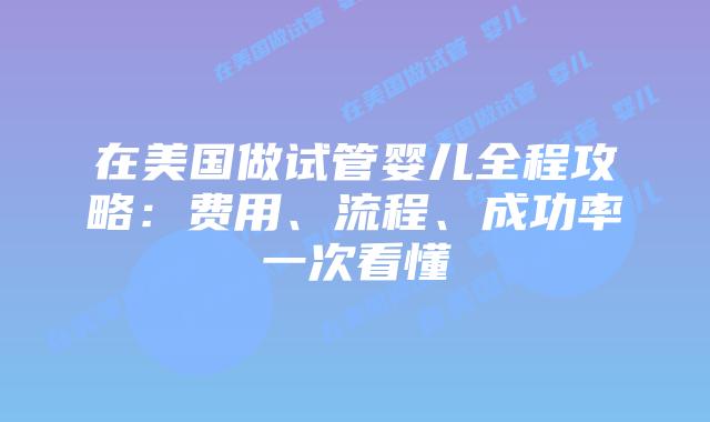 在美国做试管婴儿全程攻略：费用、流程、成功率一次看懂