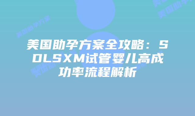 美国助孕方案全攻略：SDLSXM试管婴儿高成功率流程解析