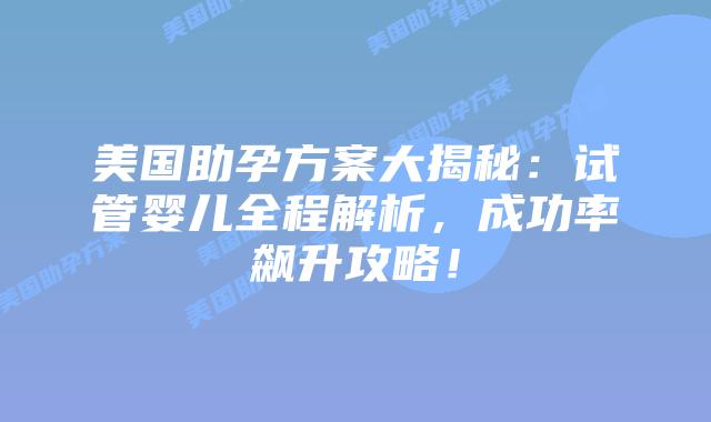 美国助孕方案大揭秘：试管婴儿全程解析，成功率飙升攻略！