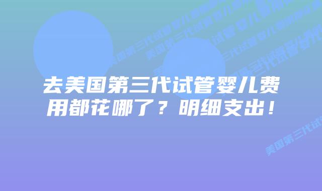 去美国第三代试管婴儿费用都花哪了？明细支出！