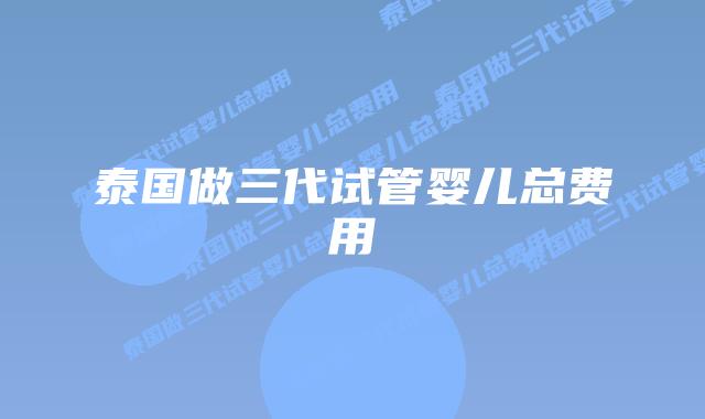 泰国做三代试管婴儿总费用
