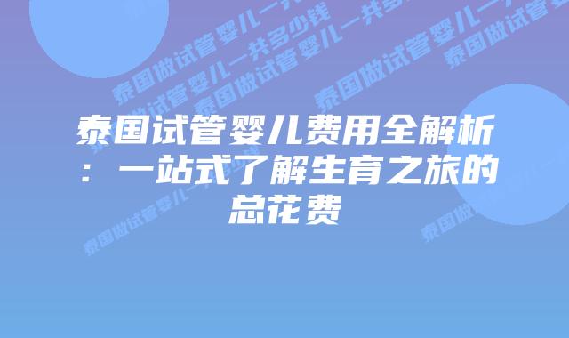 泰国试管婴儿费用全解析:一站式了解生育之旅的总花费插图 泰国试管婴儿费用全解析:一站式了解生育之旅的总花费