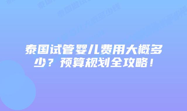 泰国试管婴儿费用大概多少?预算规划全攻略!插图 泰国试管婴儿费用大概多少?预算规划全攻略!