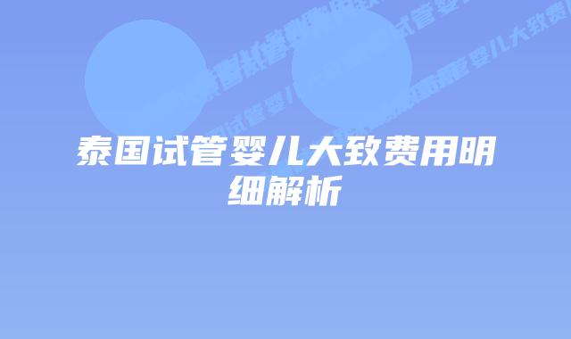 泰国试管婴儿大致费用明细解析