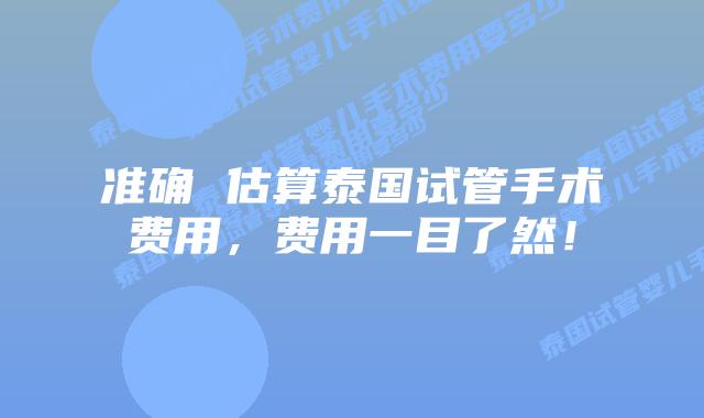 准确 估算泰国试管手术费用，费用一目了然！