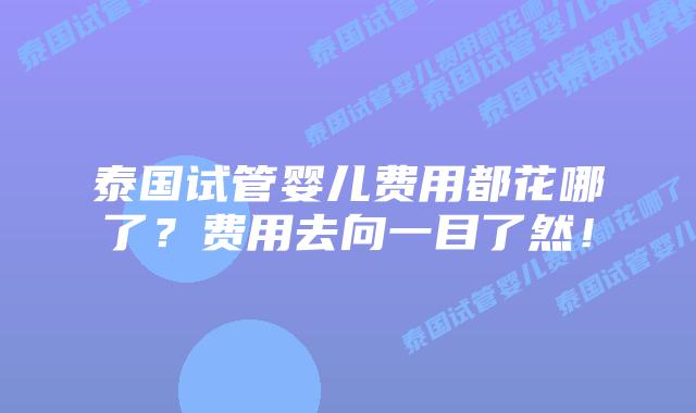 泰国试管婴儿费用都花哪了？费用去向一目了然！
