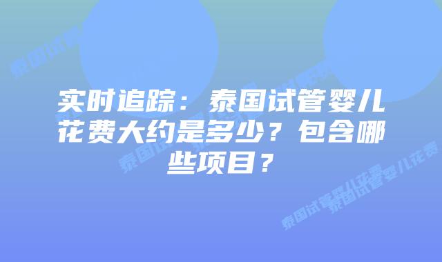 实时追踪：泰国试管婴儿花费大约是多少？包含哪些项目？