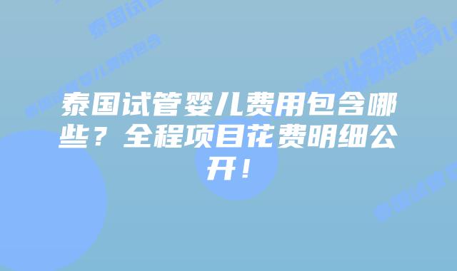 泰国试管婴儿费用包含哪些？全程项目花费明细公开！