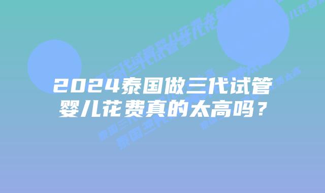 2024泰国做三代试管婴儿花费真的太高吗？
