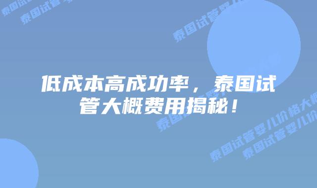 低成本高成功率，泰国试管大概费用揭秘！