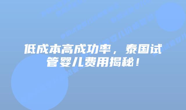 低成本高成功率，泰国试管婴儿费用揭秘！