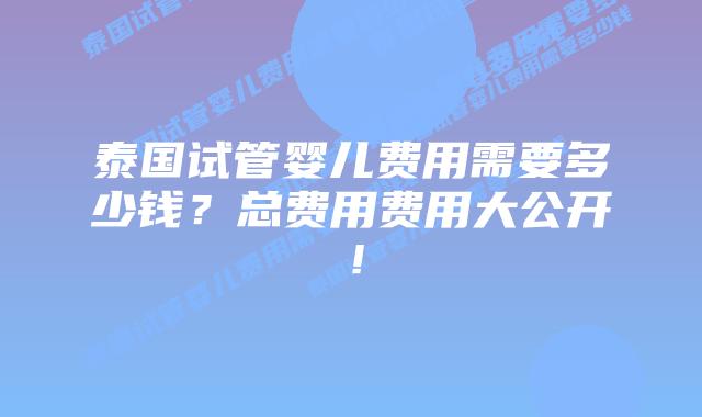 泰国试管婴儿费用需要多少钱？总费用费用大公开！