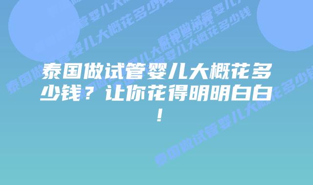 泰国做试管婴儿大概花多少钱？让你花得明明白白！
