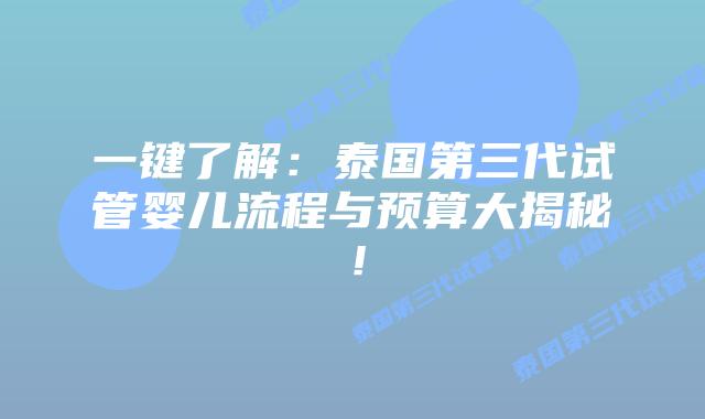 一键了解：泰国第三代试管婴儿流程与预算大揭秘！
