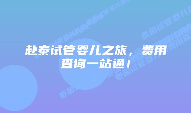 赴泰试管婴儿之旅，费用查询一站通！