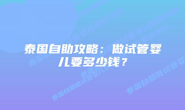 泰国自助攻略：做试管婴儿要多少钱？