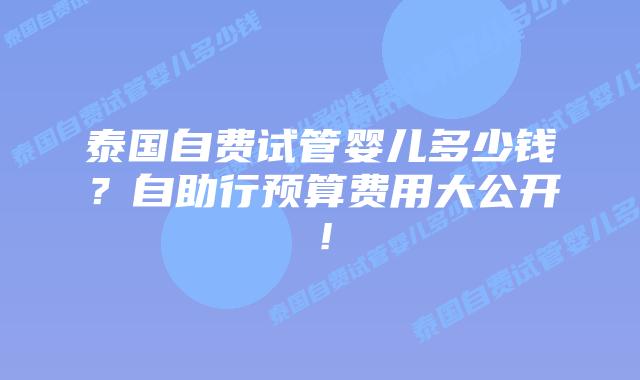 泰国自费试管婴儿多少钱?自助行预算费用大公开!插图 泰国自费试管婴儿多少钱?自助行预算费用大公开!