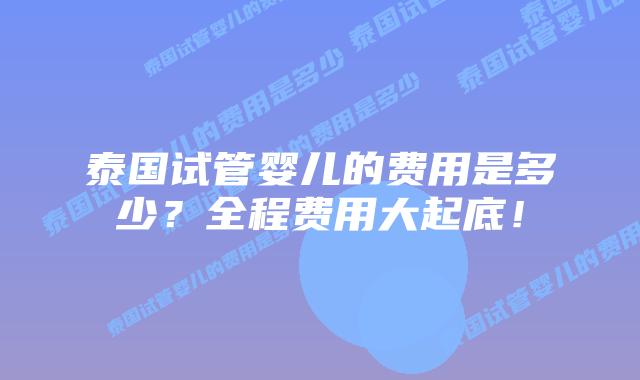泰国试管婴儿的费用是多少？全程费用大起底！