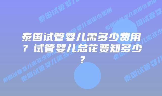 泰国试管婴儿需多少费用?试管婴儿总花费知多少?插图 泰国试管婴儿需多少费用?试管婴儿总花费知多少?