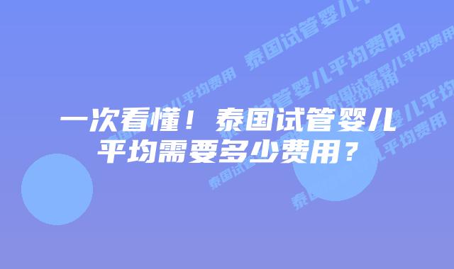 一次看懂!泰国试管婴儿平均需要多少费用?插图 一次看懂!泰国试管婴儿平均需要多少费用?