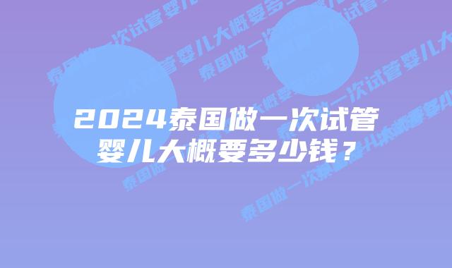 2024泰国做一次试管婴儿大概要多少钱?插图 2024泰国做一次试管婴儿大概要多少钱?