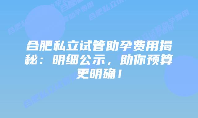 合肥私立试管助孕费用揭秘：明细公示，助你预算更明确！