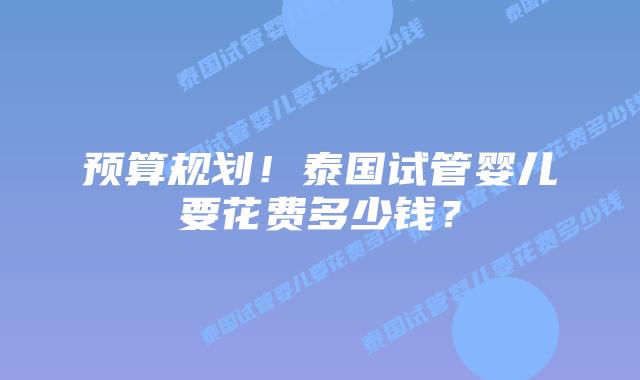 预算规划！泰国试管婴儿要花费多少钱？