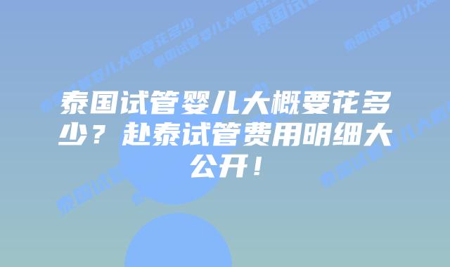 泰国试管婴儿大概要花多少？赴泰试管费用明细大公开！