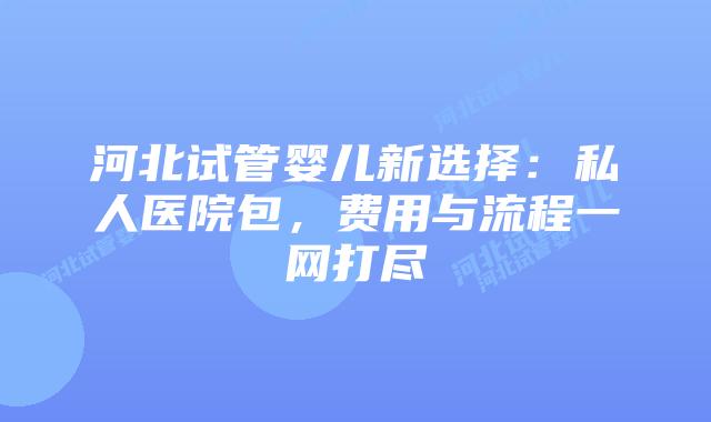 河北试管婴儿新选择：私人医院包，费用与流程一网打尽