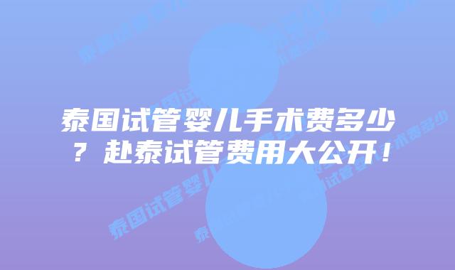 泰国试管婴儿手术费多少？赴泰试管费用大公开！