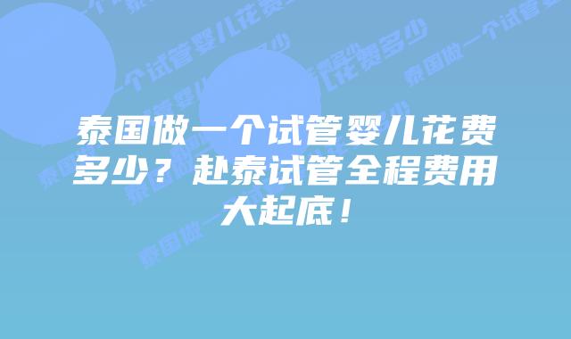 泰国做一个试管婴儿花费多少？赴泰试管全程费用大起底！
