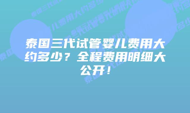泰国三代试管婴儿费用大约多少?全程费用明细大公开!插图 泰国三代试管婴儿费用大约多少?全程费用明细大公开!