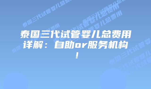 泰国三代试管婴儿总费用详解：自助or服务机构！