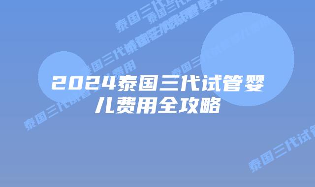 2024泰国三代试管婴儿费用全攻略