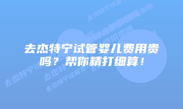 去杰特宁试管婴儿费用贵吗?帮你精打细算!插图 去杰特宁试管婴儿费用贵吗?帮你精打细算!