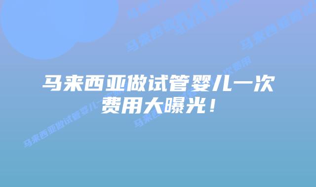 马来西亚做试管婴儿一次费用大曝光！