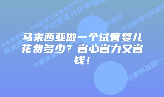 马来西亚做一个试管婴儿花费多少？省心省力又省钱！