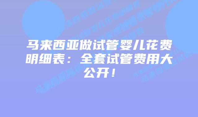 马来西亚做试管婴儿花费明细表：全套试管费用大公开！