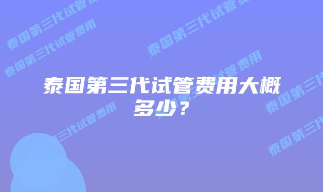泰国第三代试管费用大概多少？