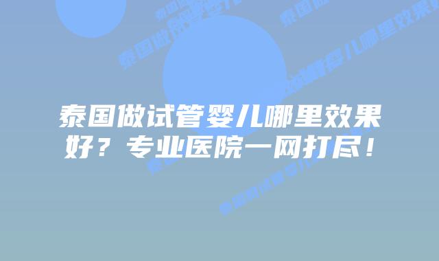泰国做试管婴儿哪里效果好?专业医院一网打尽!插图 泰国做试管婴儿哪里效果好?专业医院一网打尽!
